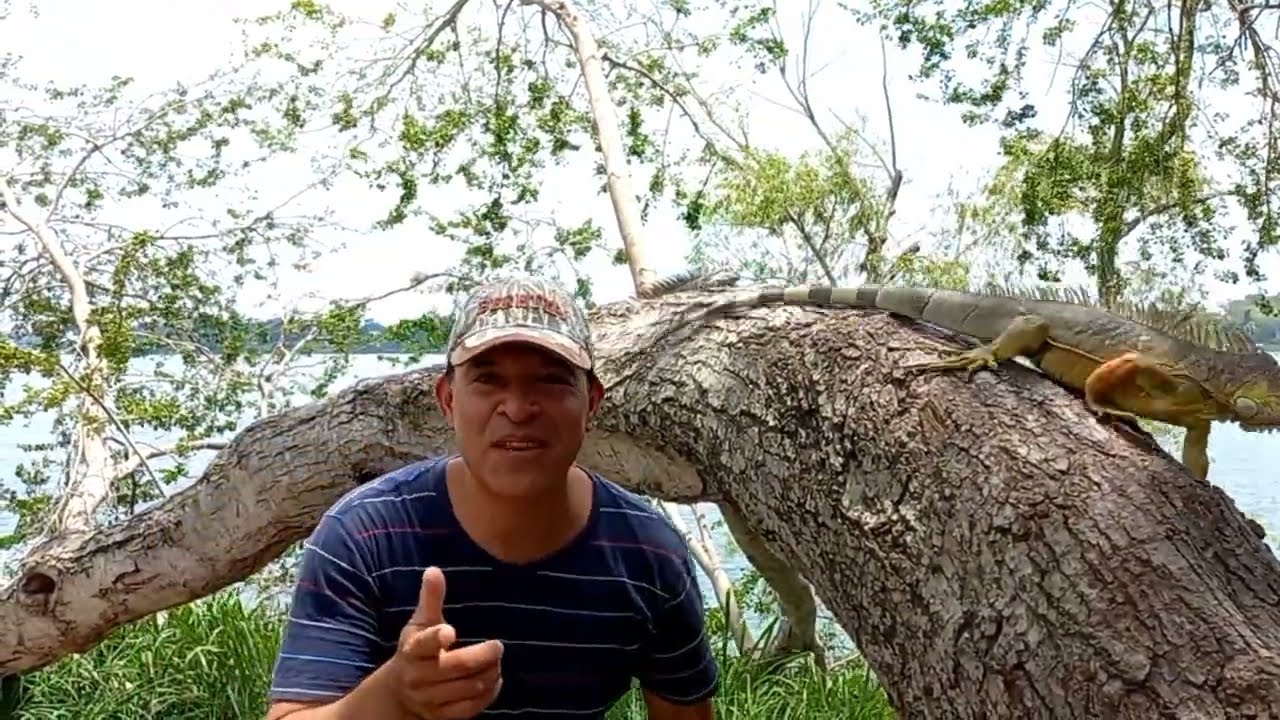 Santuario de la Iguana en Tuxpan Veracruz 🦎2022.