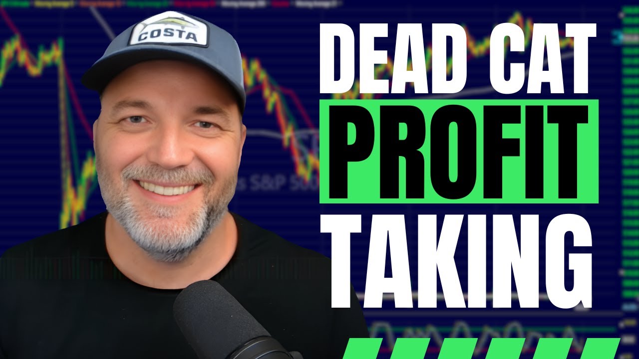 Taking Profits in a Stock Market Correction