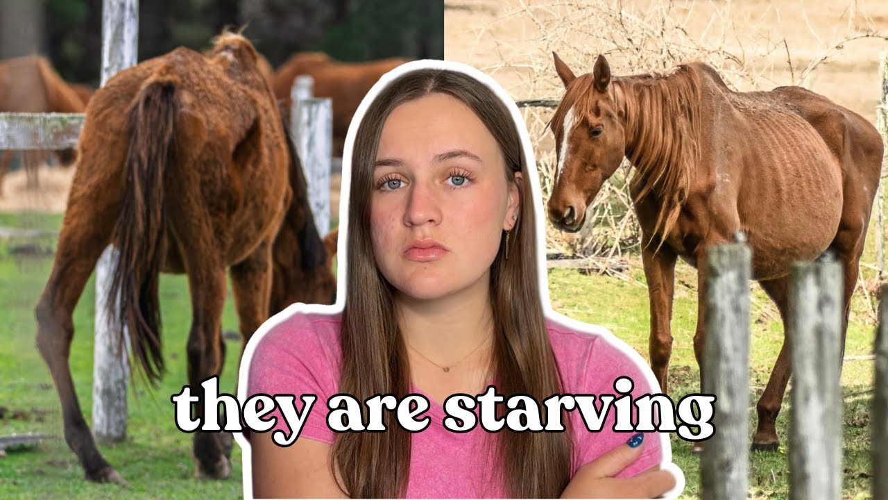 80+ Animals Starving on Mt Eliza Property