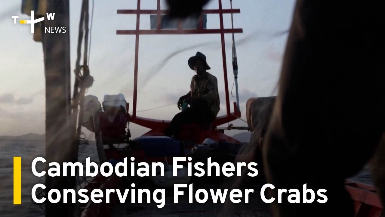 Cambodian Fishers Working To Conserve Flower Crabs | TaiwanPlus News