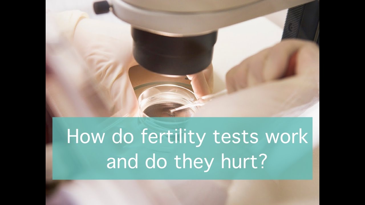 How do fertility tests work and do they hurt?