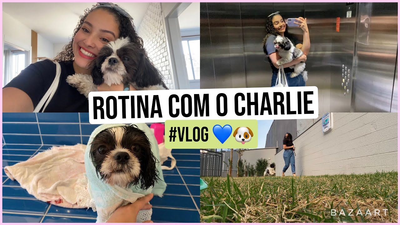 MINHA ROTINA COM O CHARLIE ATUALIZADA *meu dog Shitzu* 🐶 | por Rafaela Maria