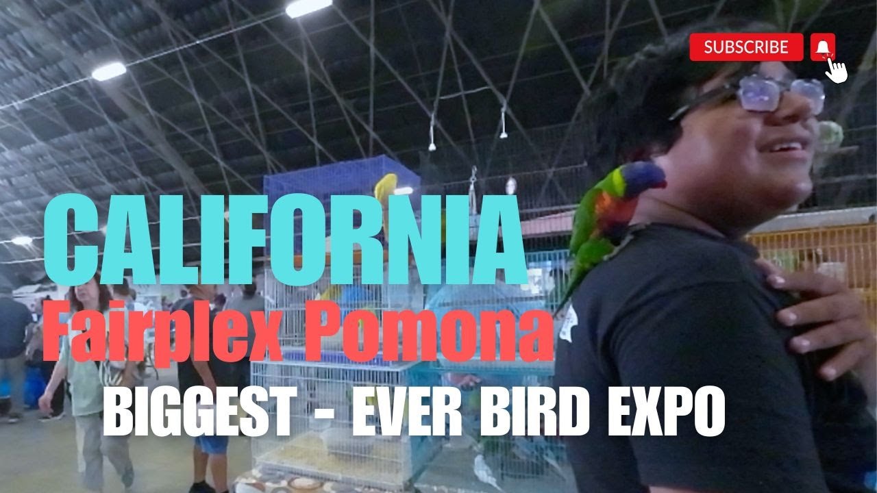 California Fairplex Pomona Biggest - Ever Bird Expo