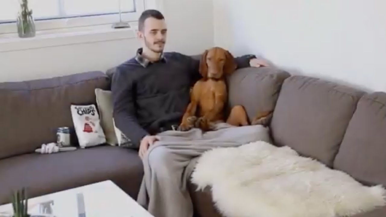 Friday night with Tikken
