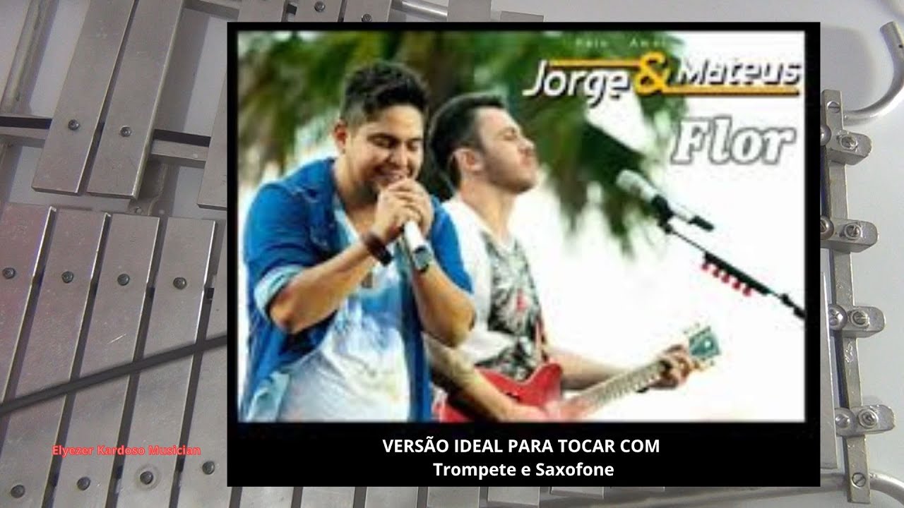 Flor  - Jorge e Mateus (Lira 25 Teclas) Glockenspiel, Xilofone - Metalofone