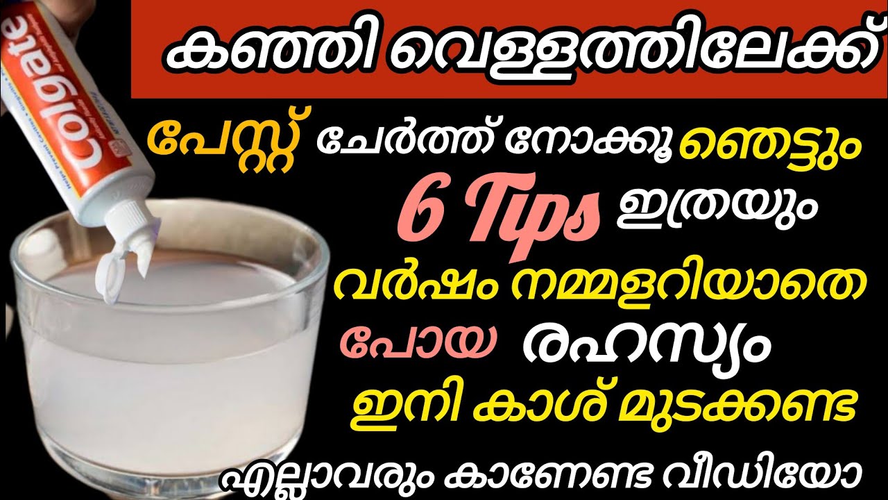 💯കഞ്ഞിവെള്ളത്തിലേക്ക് കുറച്ച് പേസ്റ്റ് ആക്കിനോക്കൂ!ഞെട്ടിക്കുന്ന റിസൽറ്റ് ഇനി ആരും ഇത് വെറുതെകളയില്ല