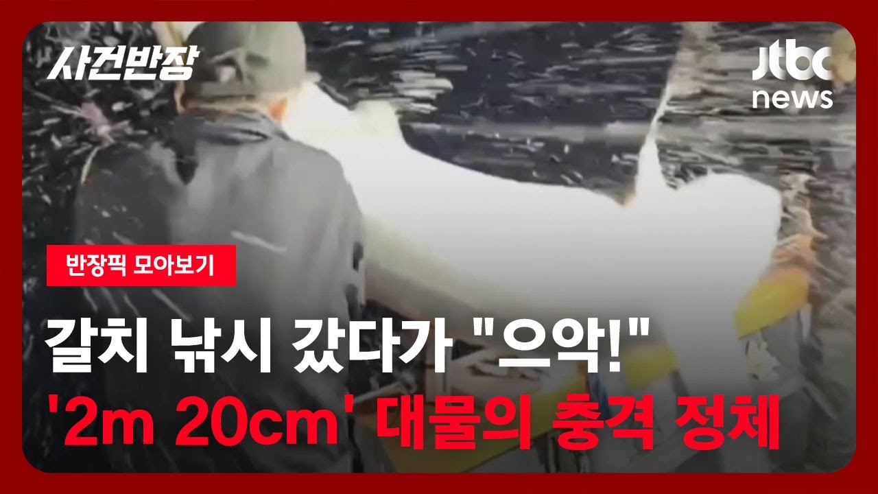 [반장픽 모아보기] 갈치 낚시 갔다가 