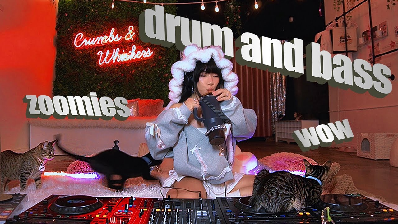 i dj'd drum and bass to 30 cats for my birthday