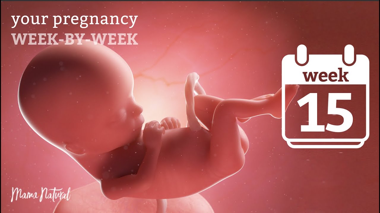 15 Weeks Pregnant - Natural Pregnancy Week-By-Week