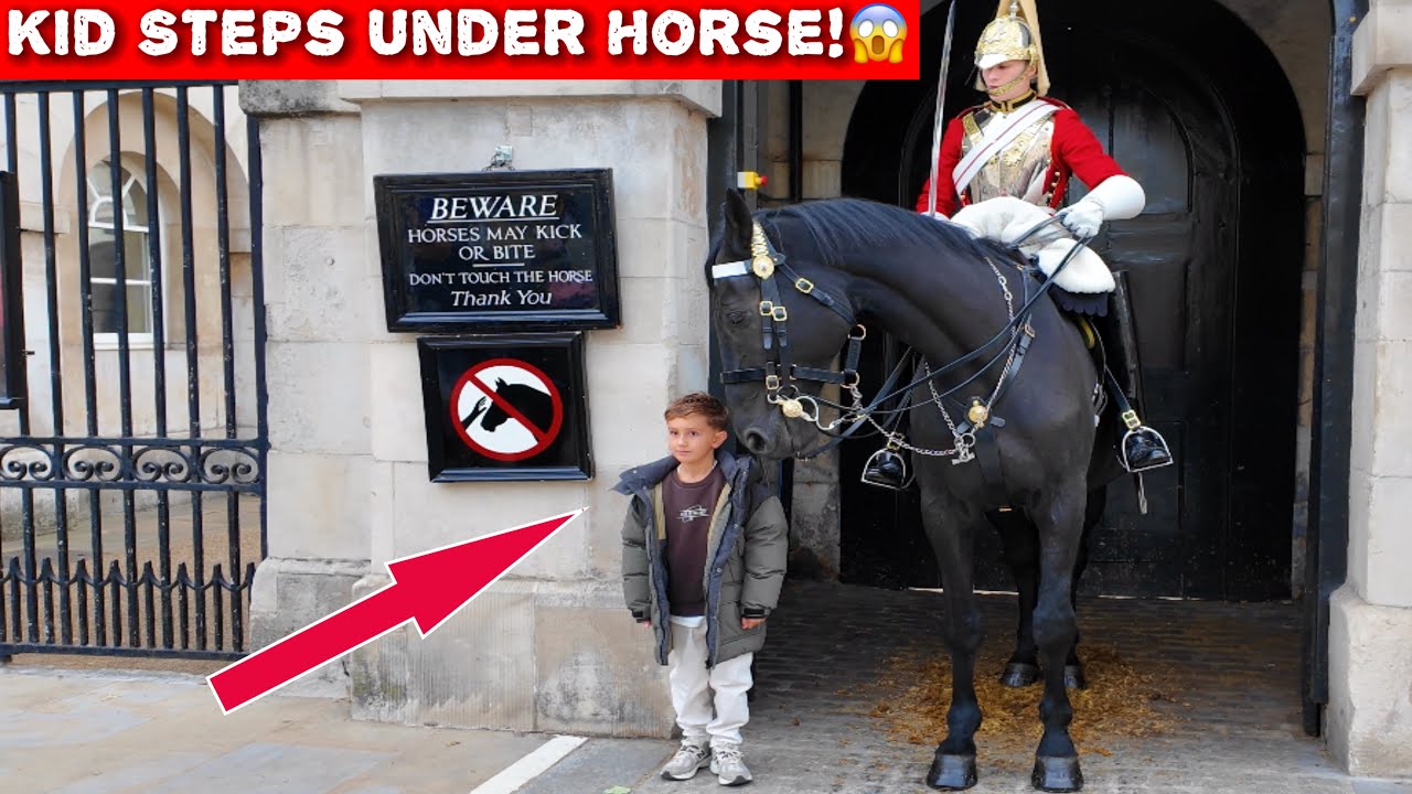 😲Heart-Stopping! Crowd in PANIC as Kid Steps Under the Horse – King’s Guard Reacts Instantly‼️