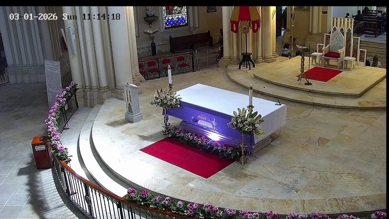 Transmisión Eucaristía Basílica de Lourdes   2024