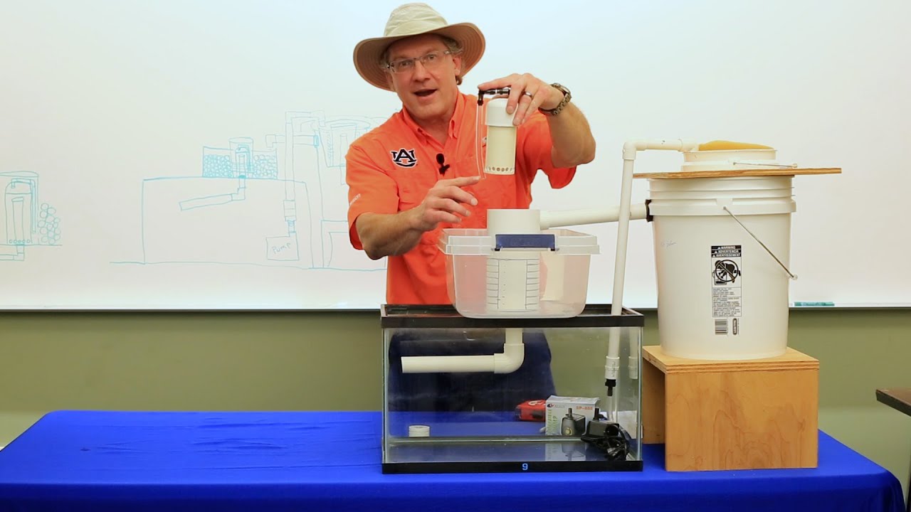 How to Build a Small Aquaponics System with a 15 Gallon Fish Tank (Inexpensive and Field Tested)
