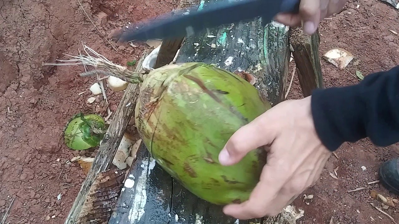 One big ass hunk of Cold Steel - the Drop Forged Survivalist
