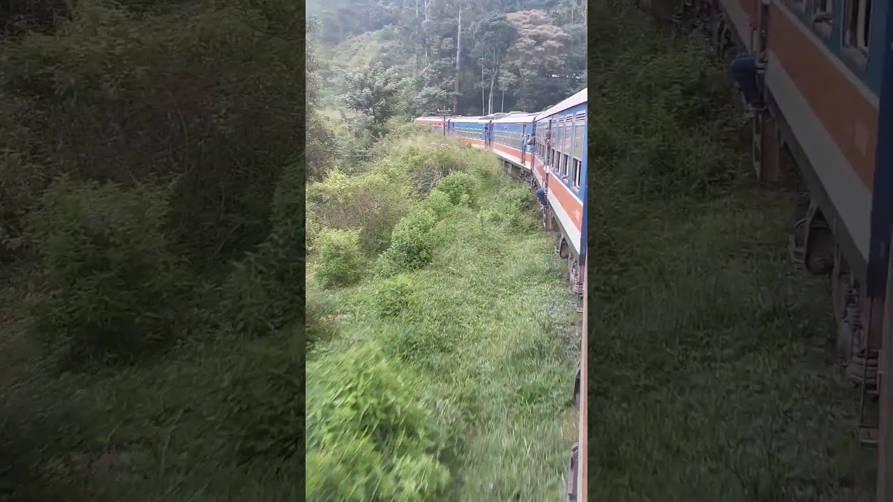 Train Ride Joy #viral #subscribe #srilanka #trending #reels