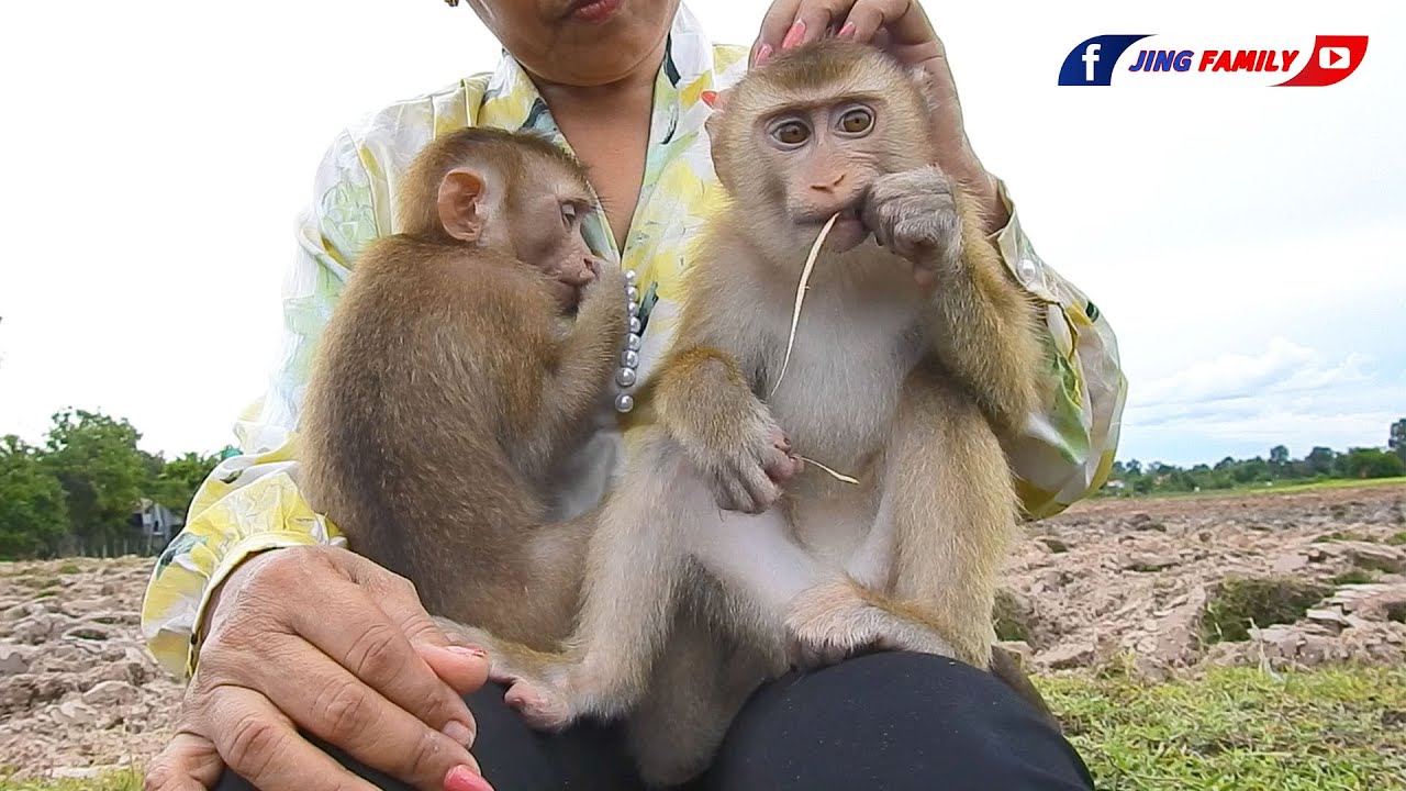 What A Loving Family! Jing Plays Catch With Mom!