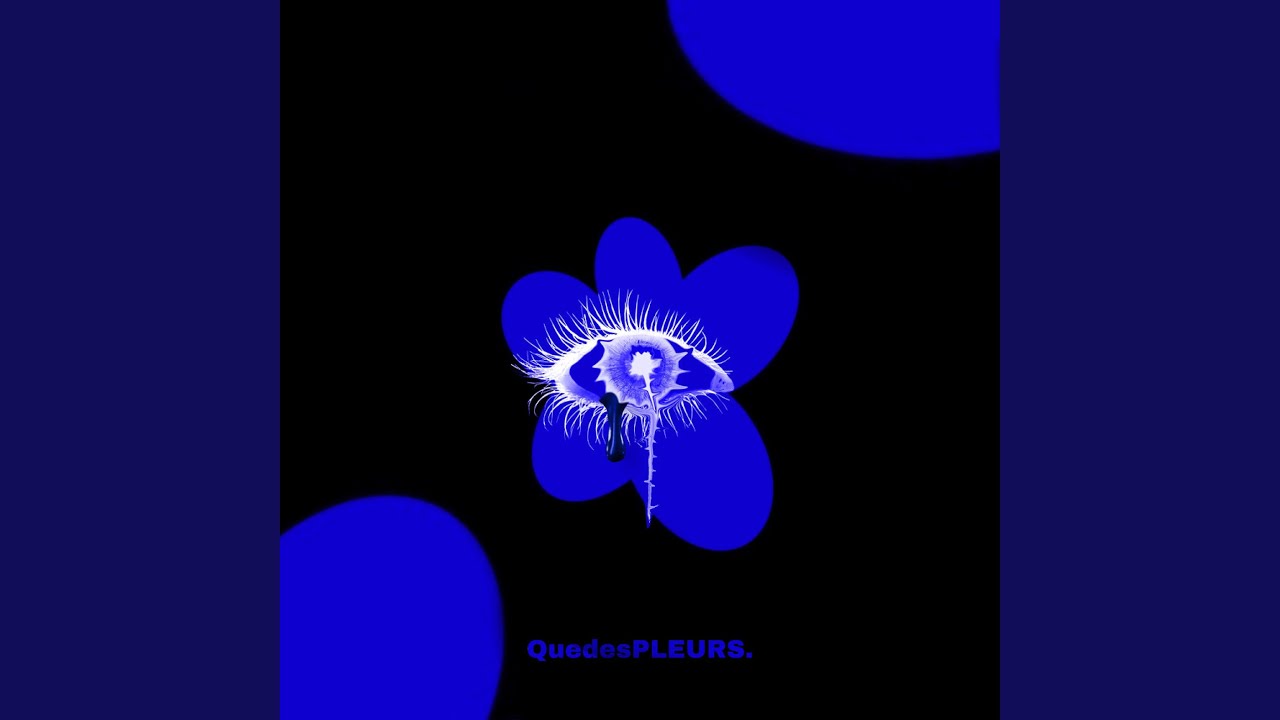 QuedesPleurs.