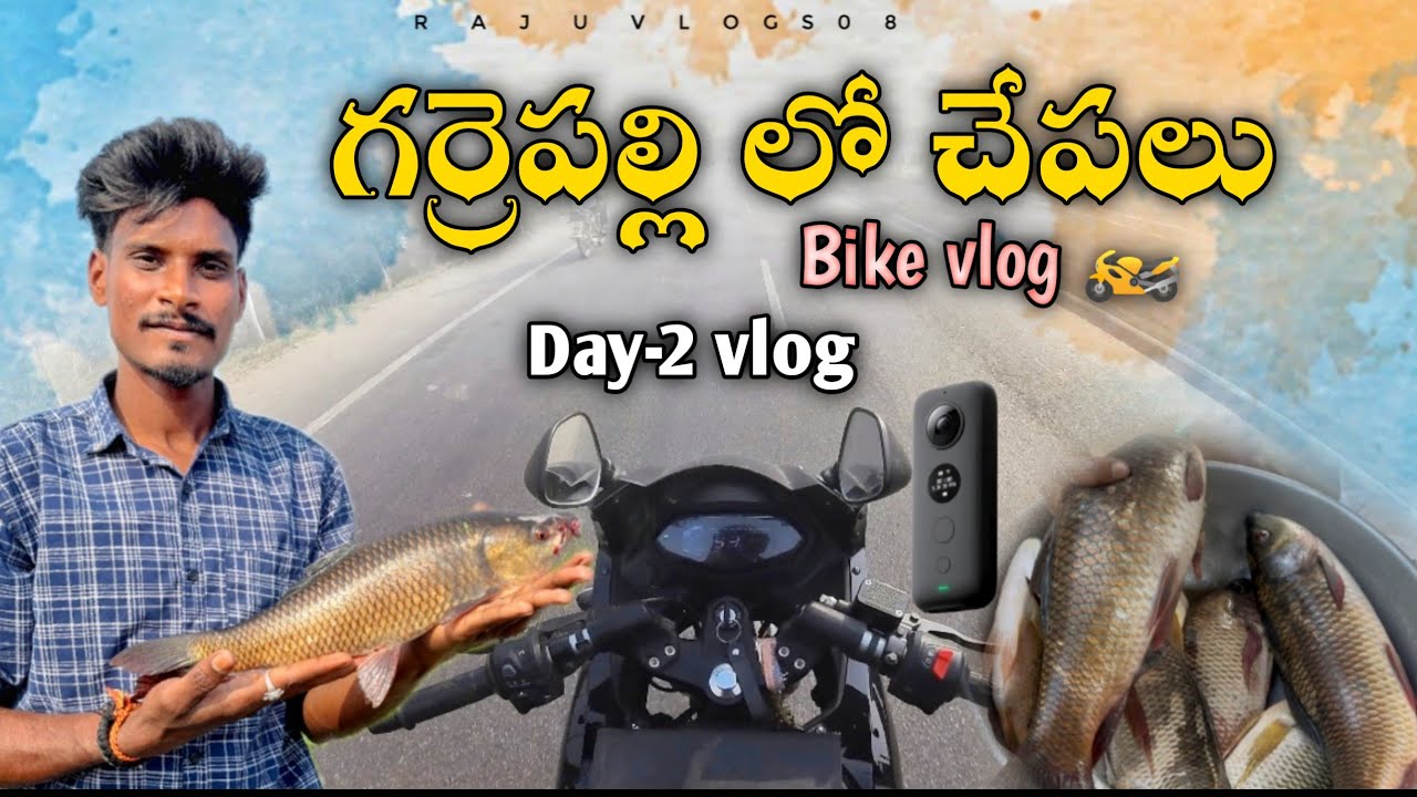 Day-2 vlog ||గర్రెపల్లి లో చేపలు ||#rajuvlogs08 bike vlog #kandularajender #travel 