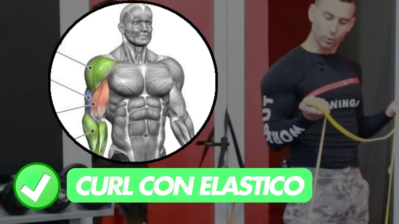 Bicipiti Allenati duramente con Elastico in casa