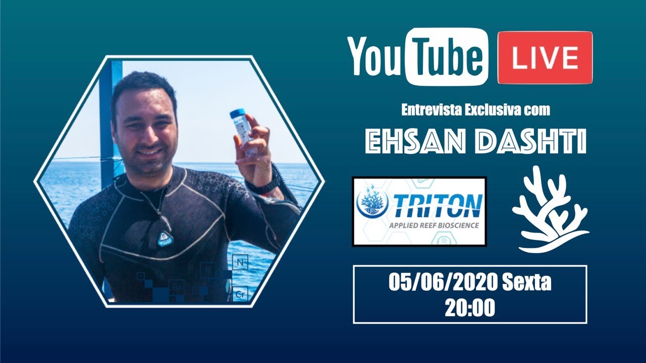 Ehsan Dashti (Triton Labs) - Entrevista (2020)