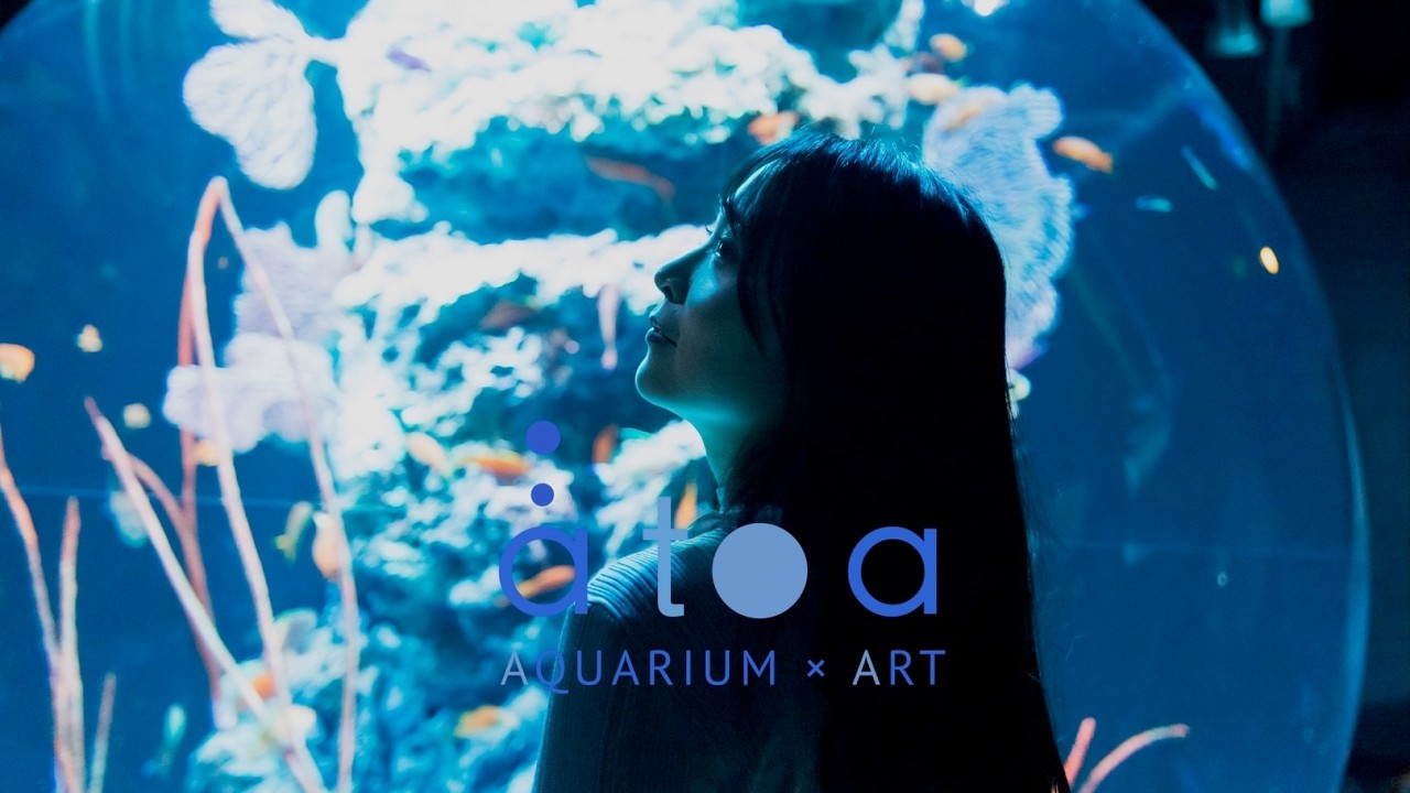 【PortraitMovie】átoa   AQUARIUM × ART