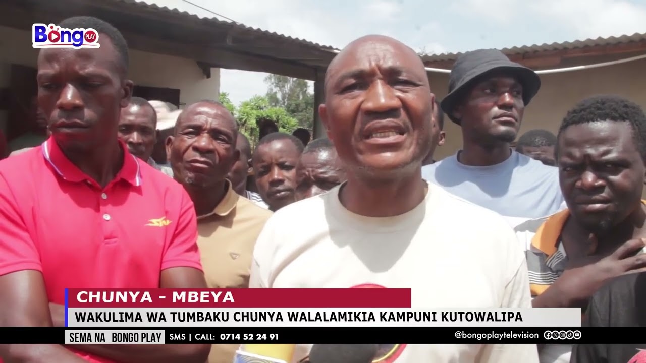 WAKULIMA WA TUMBAKU CHUNYA WALALAMIKIA KAMPUNI KUTOWALIPA BAADA YA KUNUNUA MAZAO YAO