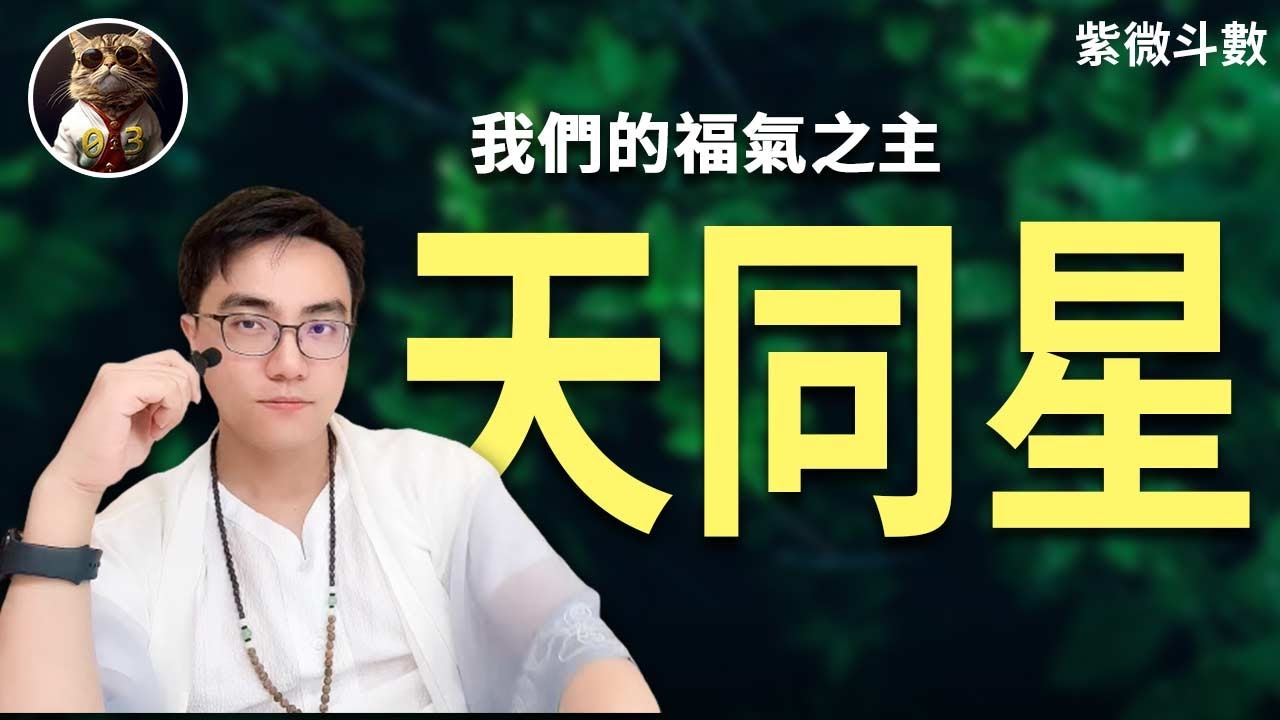 紫微斗數|你的福氣在哪裡？幸運之主天同星在我們的十二宮代表什麼？ |命理公開課 #臨杉君 #03占星台