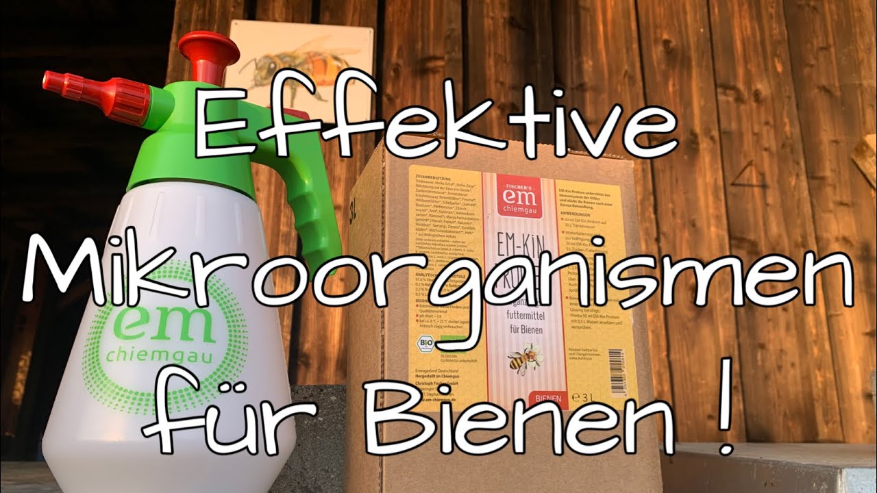 Effektive Mikroorganismen für Bienen!