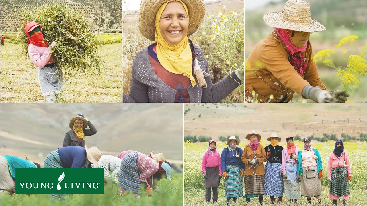 Harvesting Change: How Seed to Seal® Empowers Women Worldwide