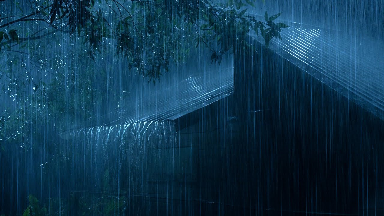A Good Night's Sleep with Torrential Rain & Terrible Thunder on the Rickety Metal Roof in Rainforest