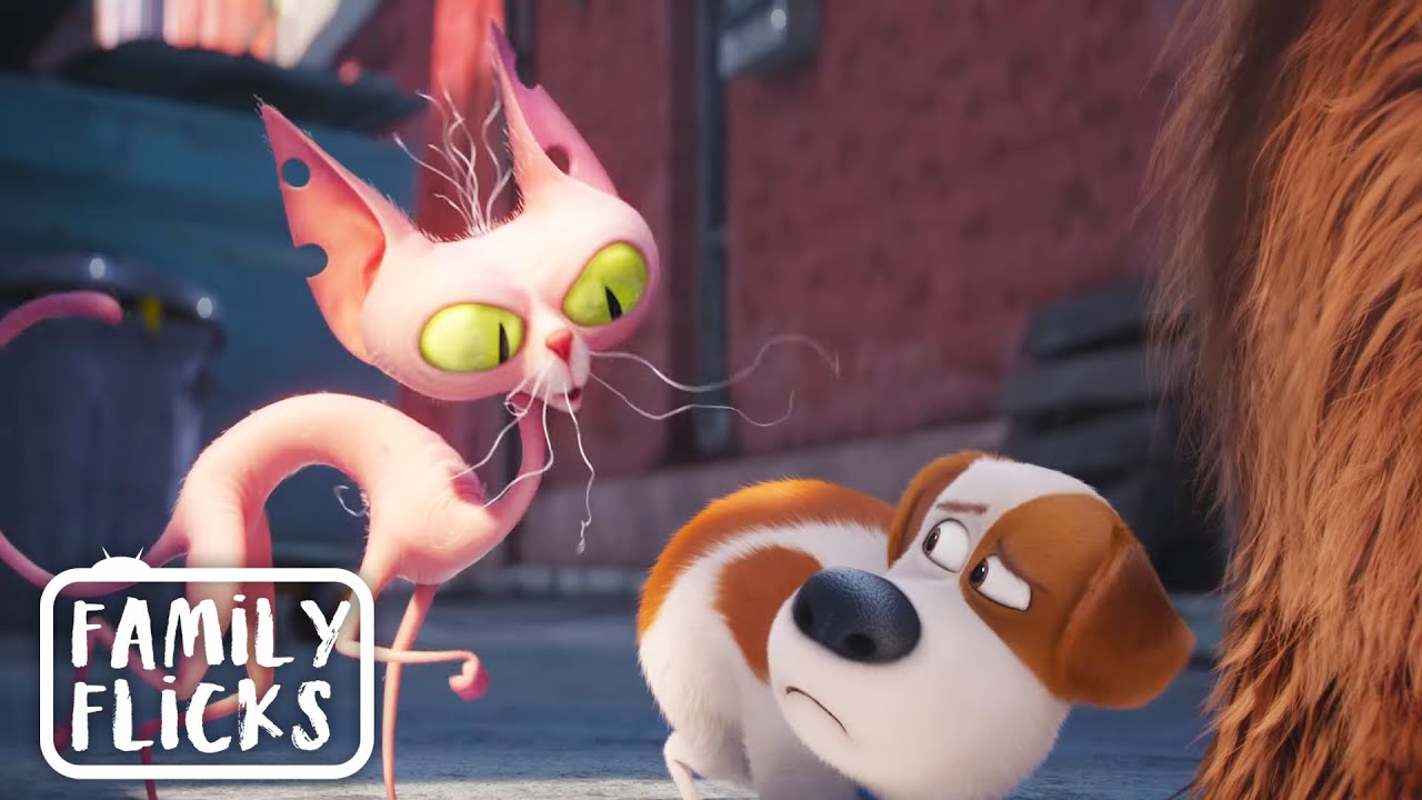 Surrounded By Scary Alley Cats | The Secret Life Of Pets (2016) | Family Flicks