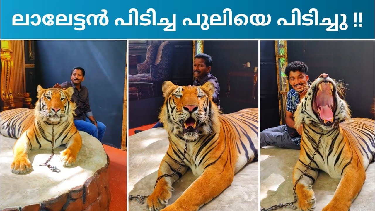 Amazing Zoo In Thailand