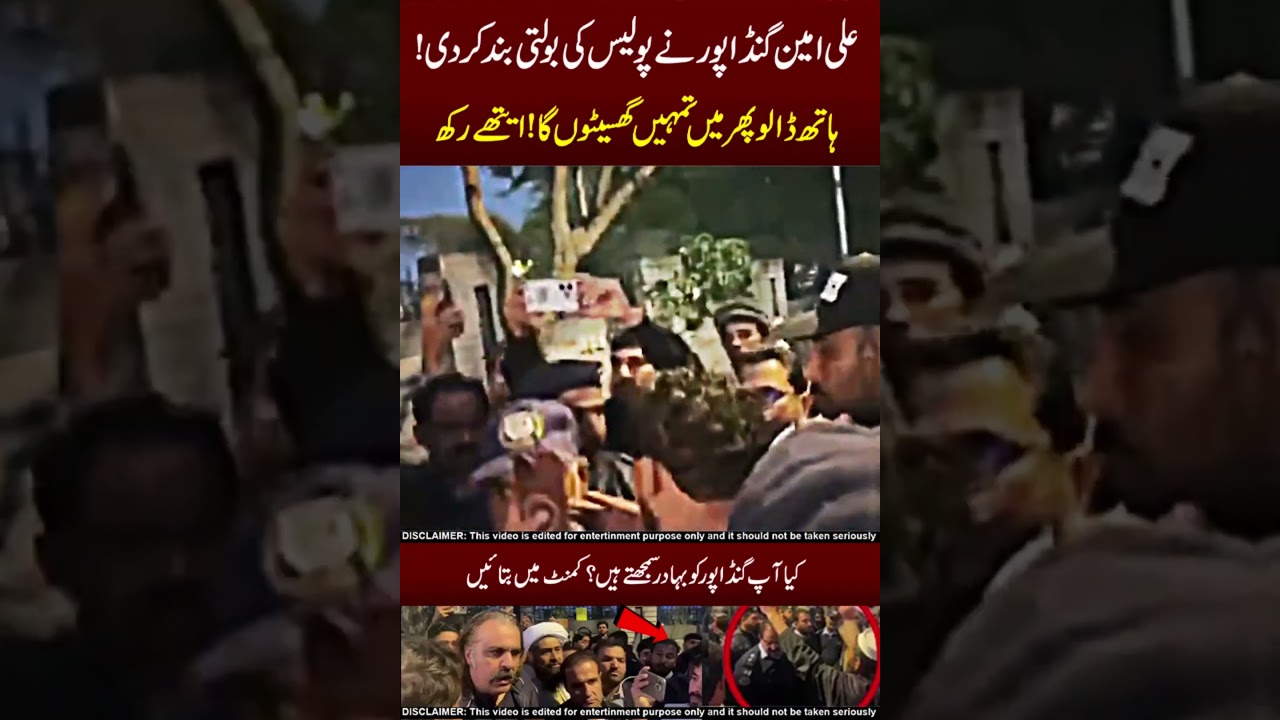 Ali Ameen Gandapur On Fire 🥵🤯