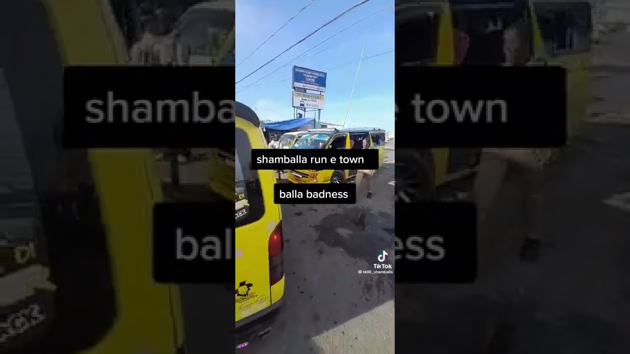 SHAMBALLA TOURS (JAMAICA BAD BUS )🇯🇲