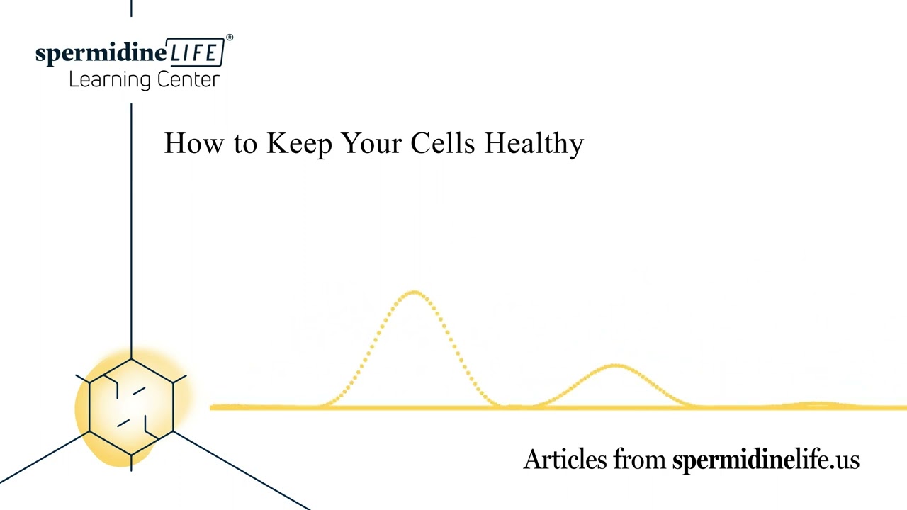 How to Keep Your Cells Healthy | Cellular Health | Human Cells | Regenerate Cells