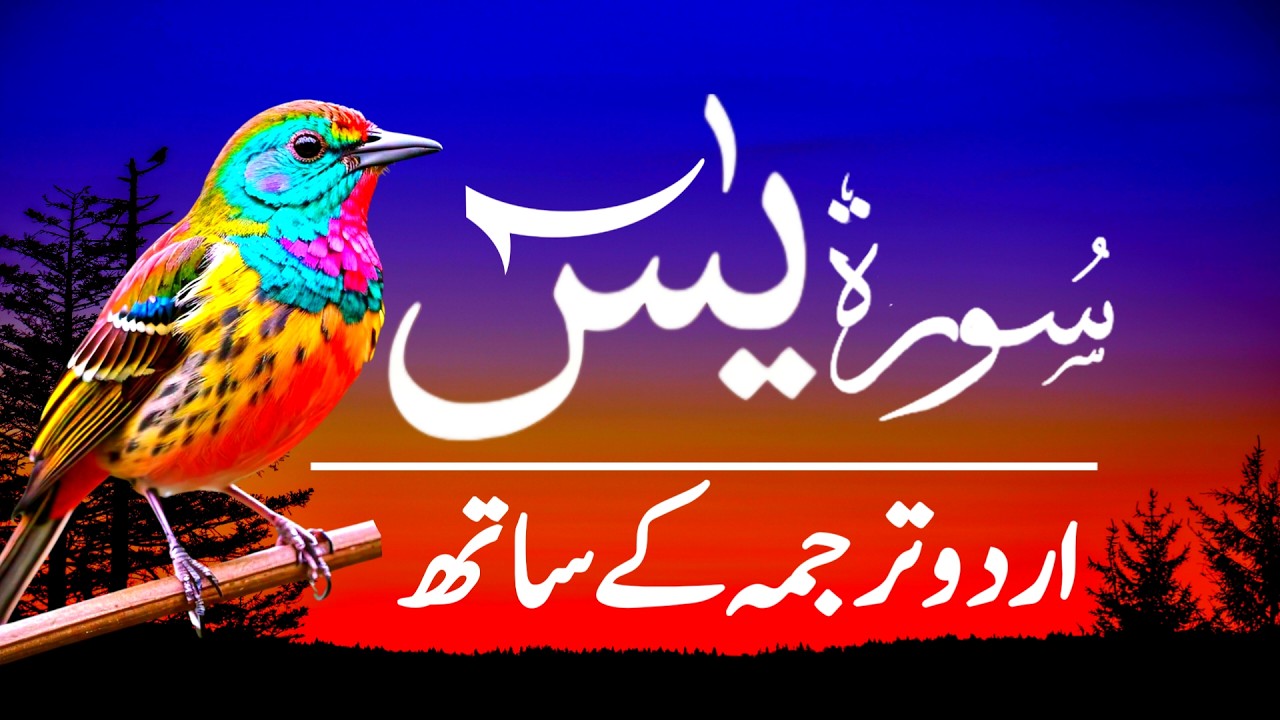 Surah Yasin | Surah Yaseen With Urdu Trnslation Full | Ep-003