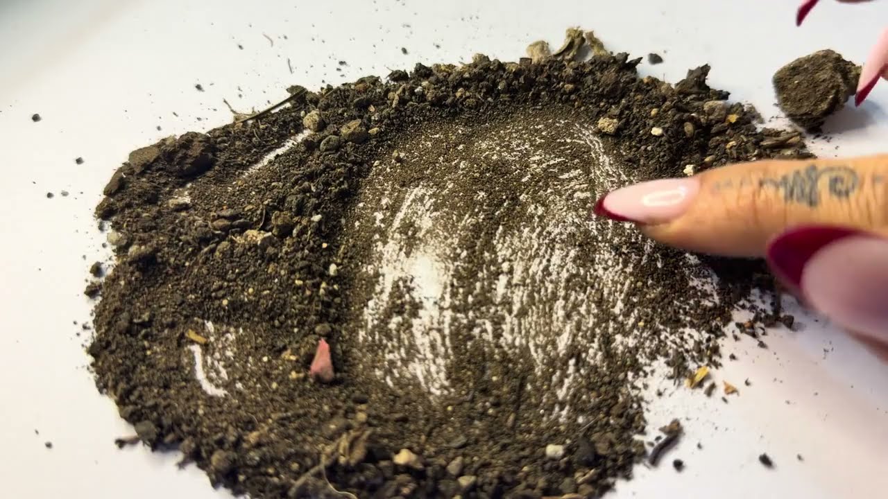 İlahi Adaletin Böylesi Görülmedi Gizli Sırlar Ortaya Çıkıyor TOPRAK FALI 
