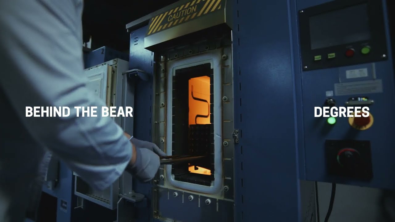 Behind the Bear: Degrees