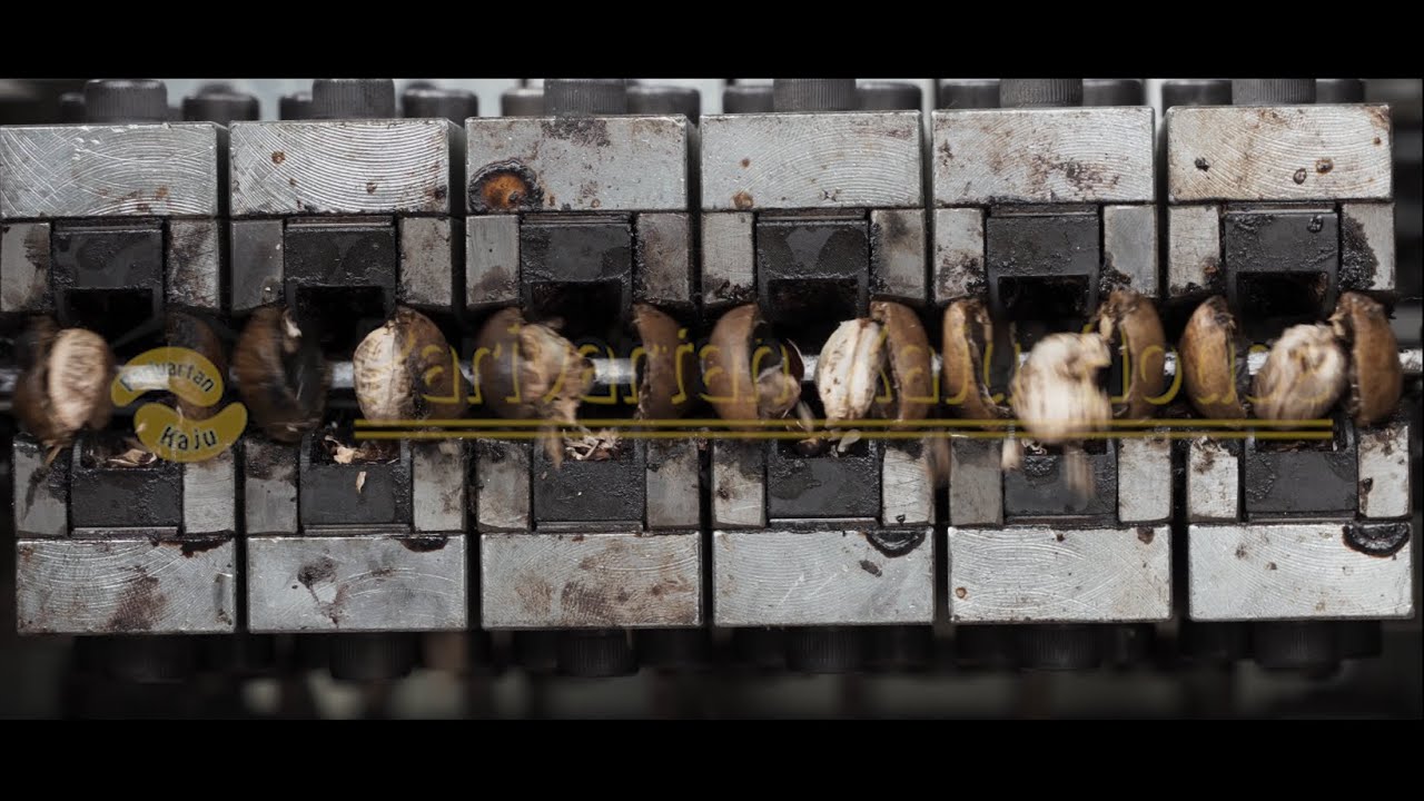 The Ultimate Cashew Shelling Solution: Cashew Cutting Machine / Cashew Shelling Machine