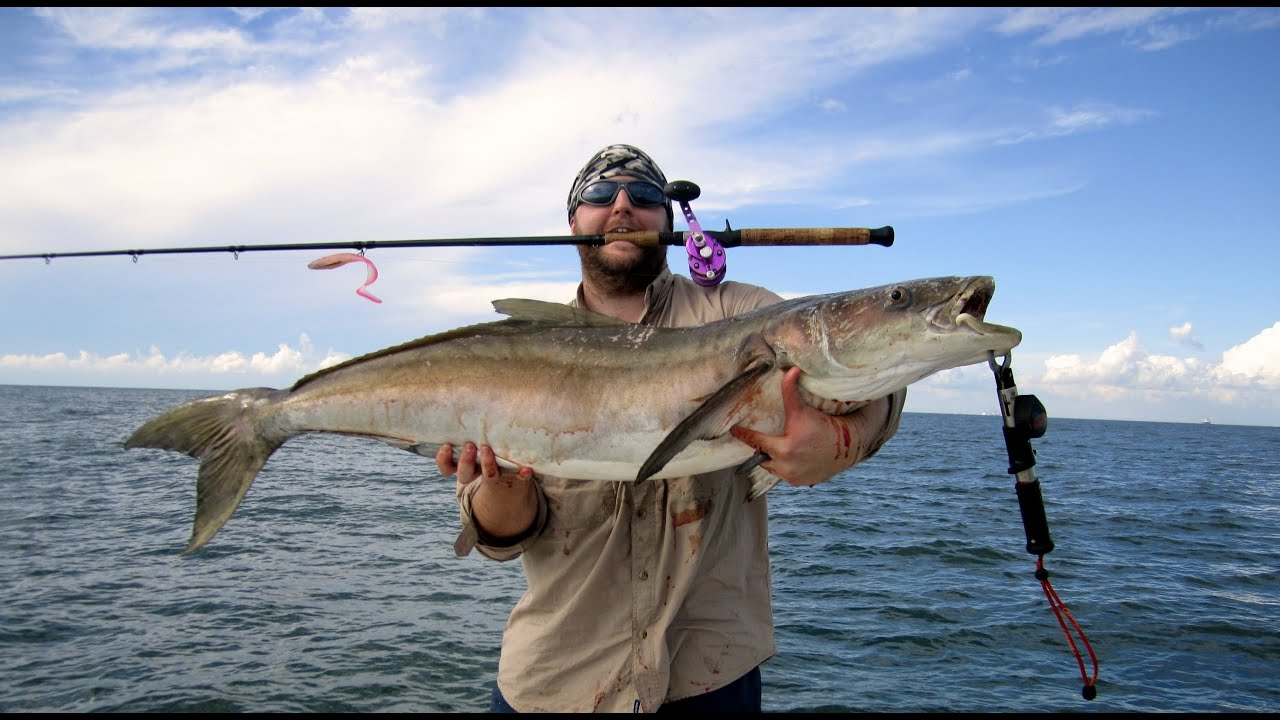 Sabine Report: 50lb Ling vs Avet SX MC