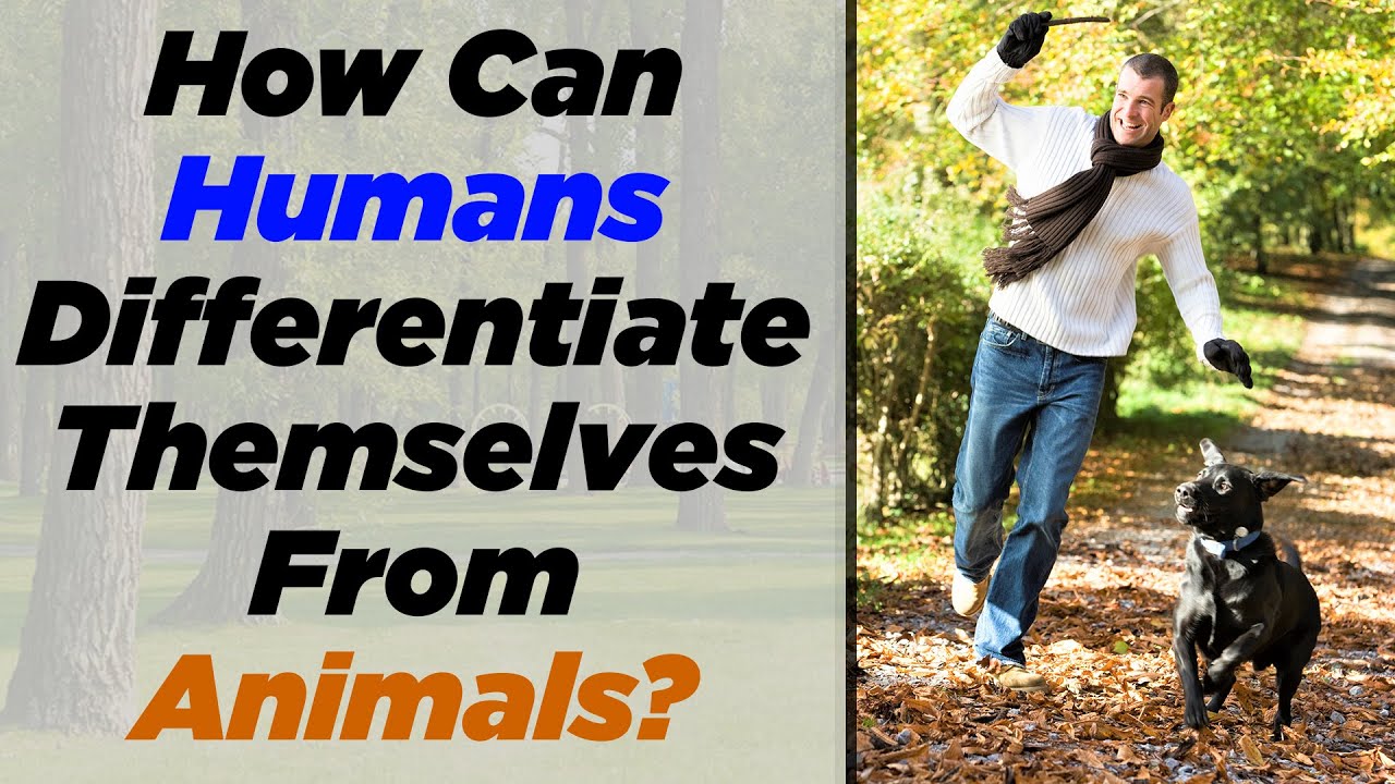 How are Humans different from Animals?