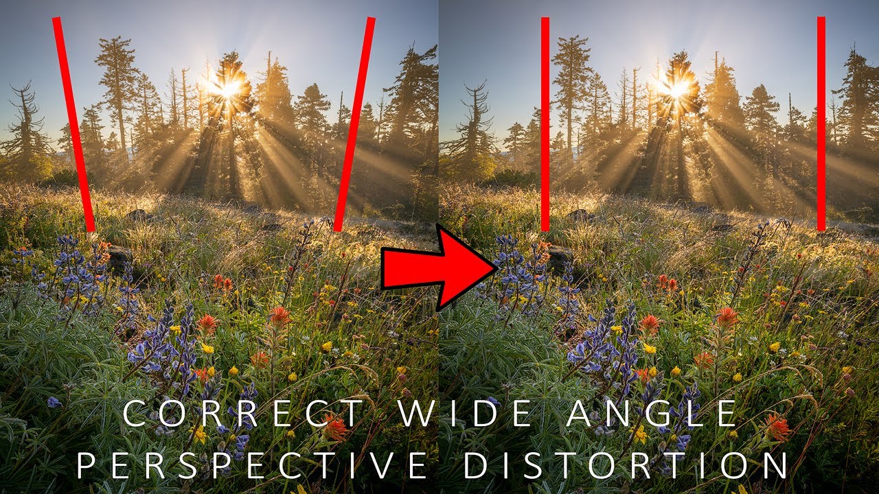 Исправление искажений широкоугольной перспективы в Photoshop