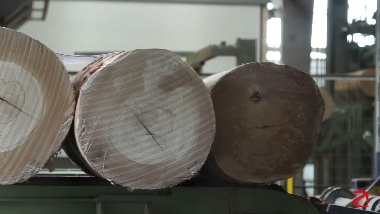 Angelo Cremona   Peeling line for beech with 180° turning stacking system
