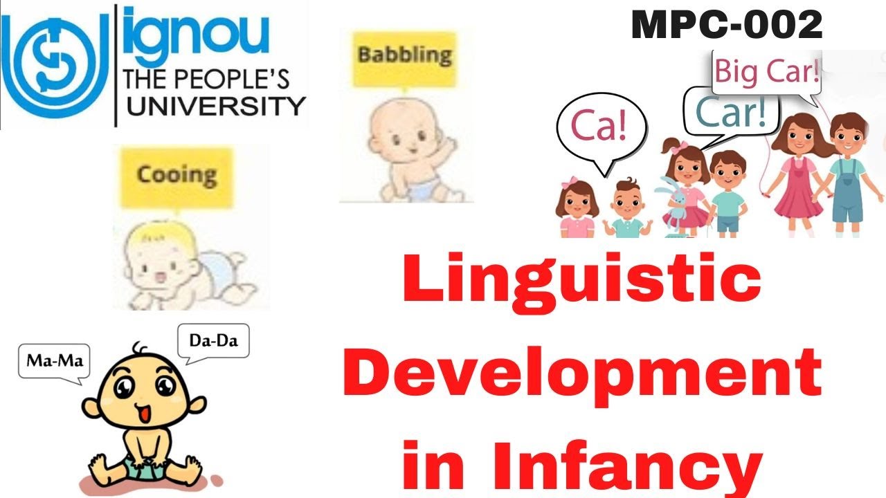 Linguistic Development in Infancy