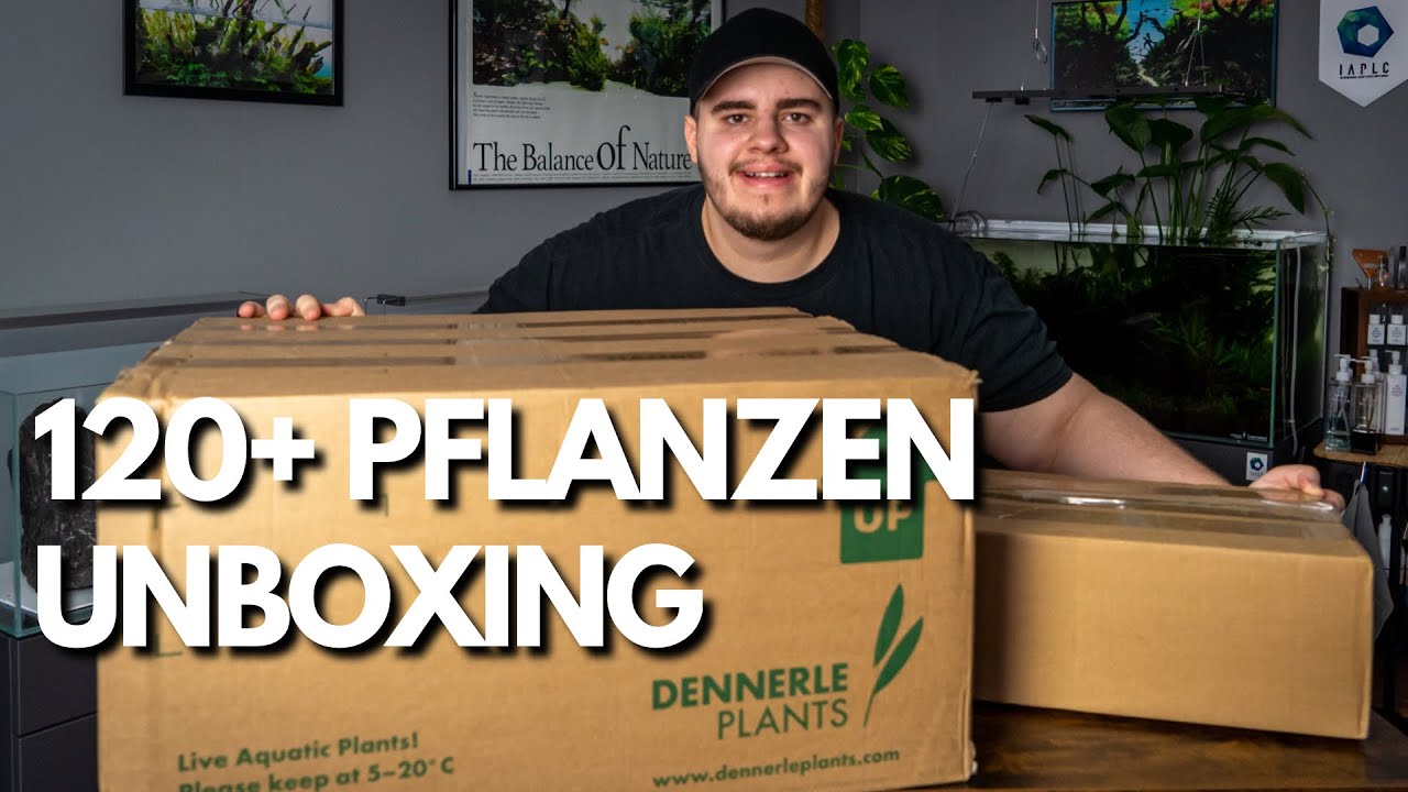 XXL Aquarium Pflanzen UNBOXING!