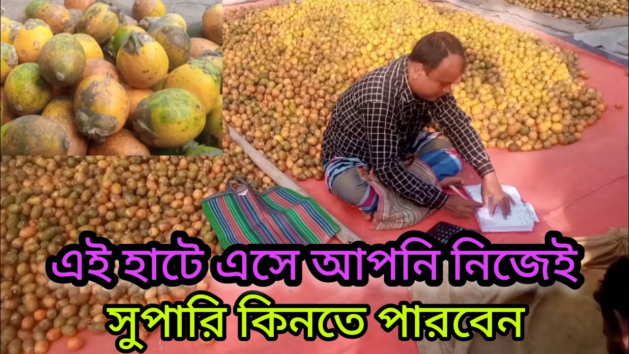 🤔🤑💰এই হাটে এসে আপনি নিজেই সুপারি কিনতে পারবেন👀💬👀কুড়িগ্রাম দুর্গাপুরে সুপারি হাট 👌👈