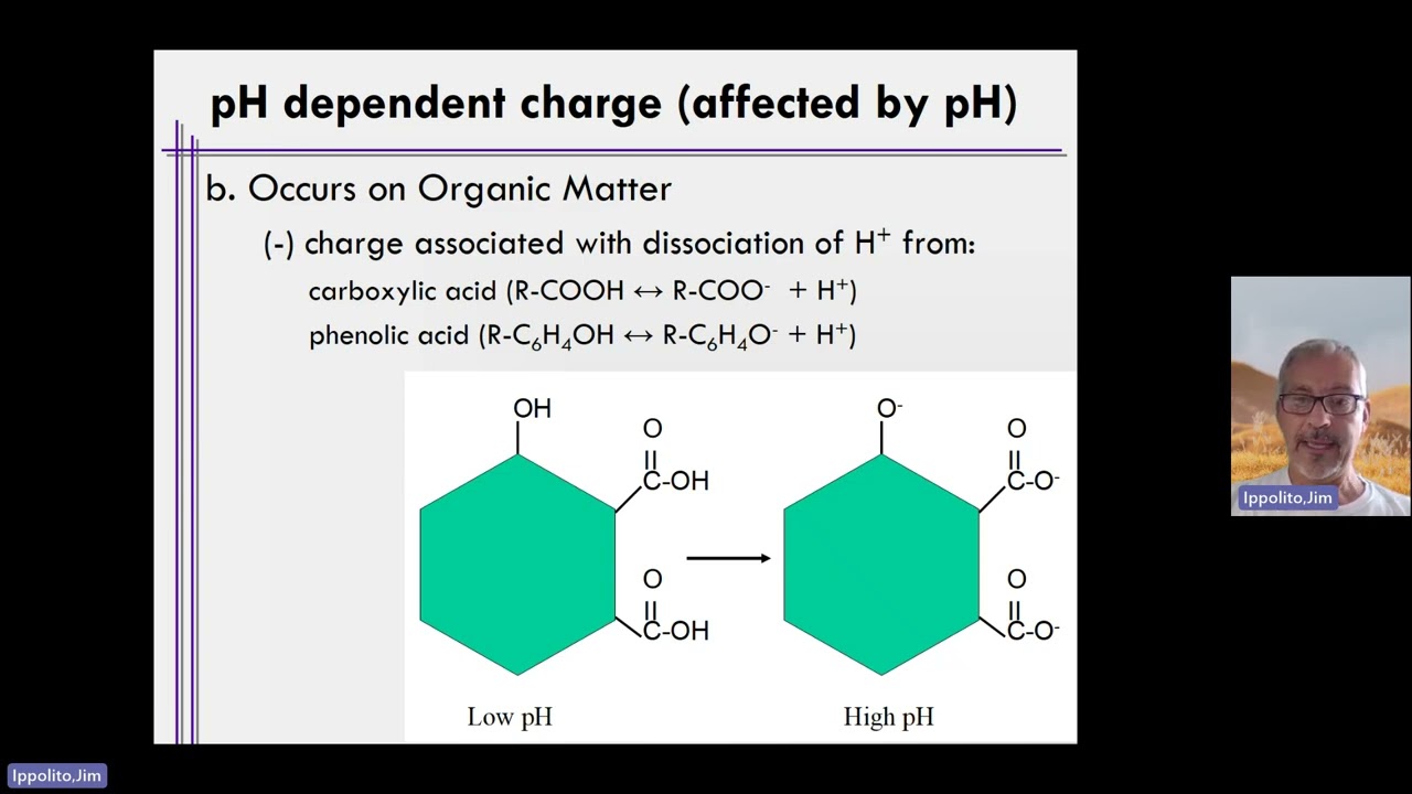 Week 4 Unit 4 Lecture Video 3 pH Dependent Charge
