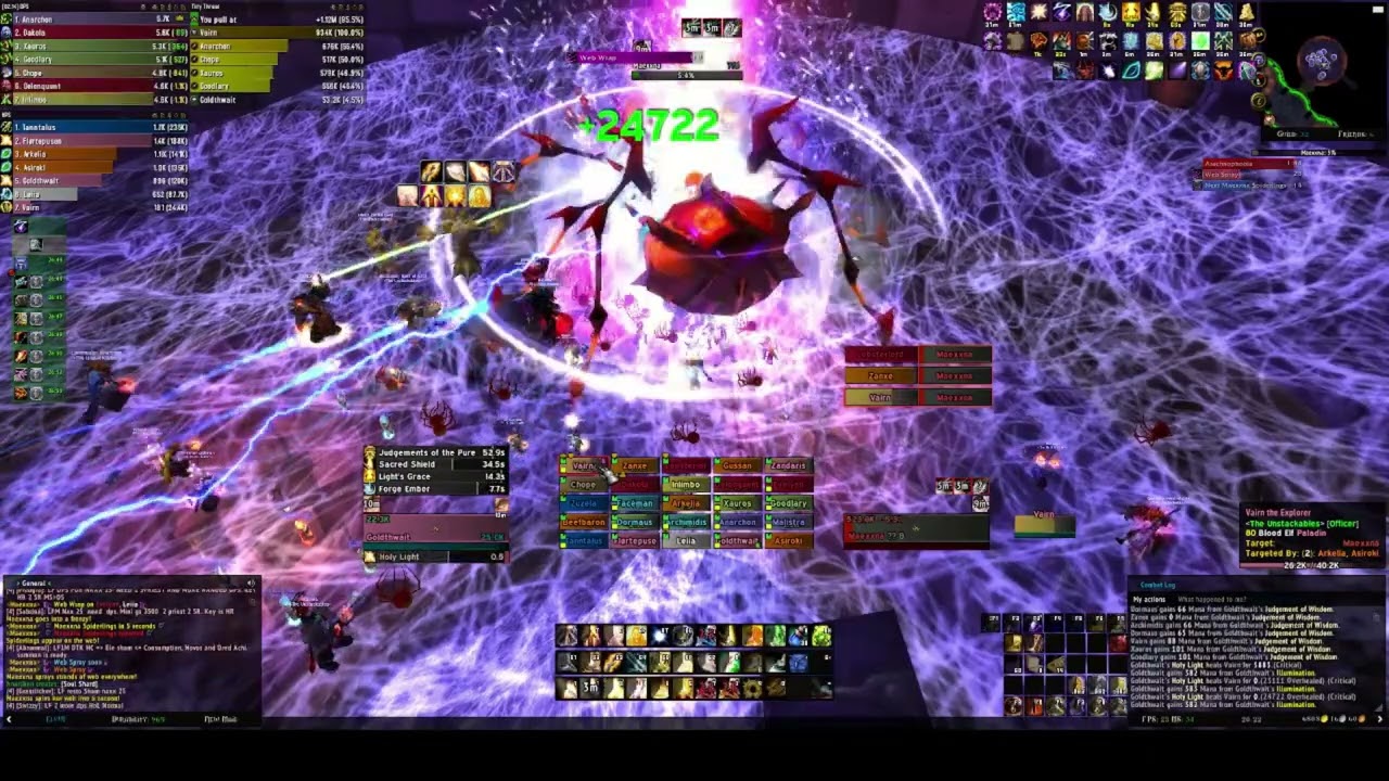 Naxxramas Full Clear Holy Paladin POV