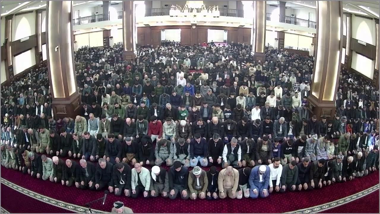 hersh hamd shwani Live Stream