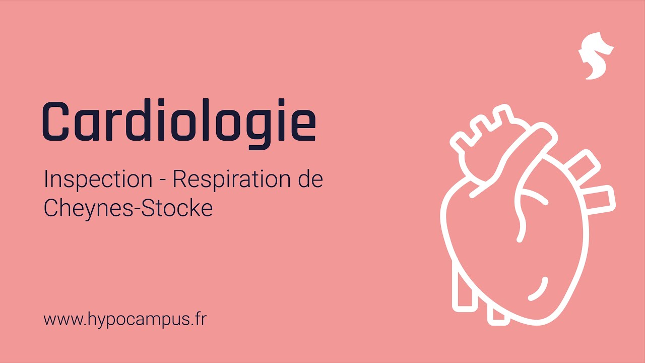 Respiration de Cheynes Stocke - Inspection de Cardiologie
