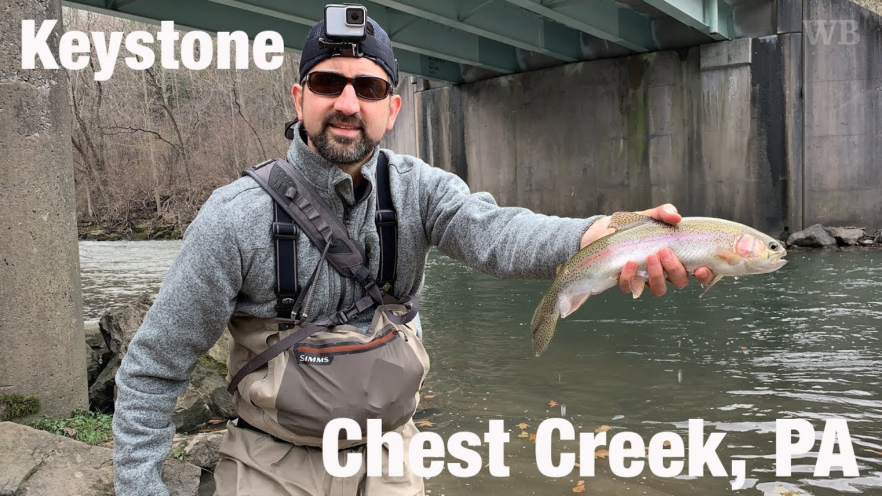 Keystone Select Fly Fishing, Чест-Крик, Пенсильвания — Wooly Bugged